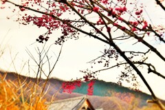 曇天