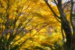 輝く