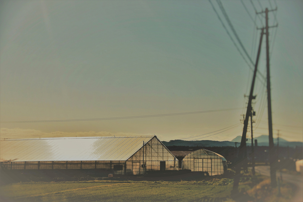農村の風景。。