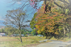 里の風景