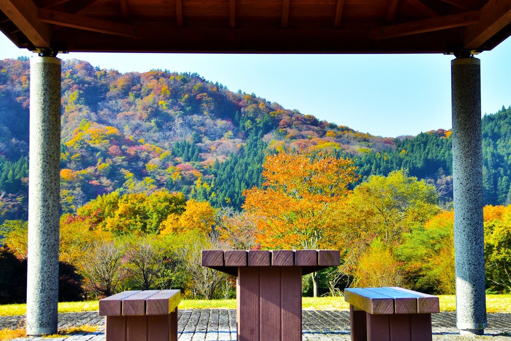 眺め