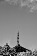 塔