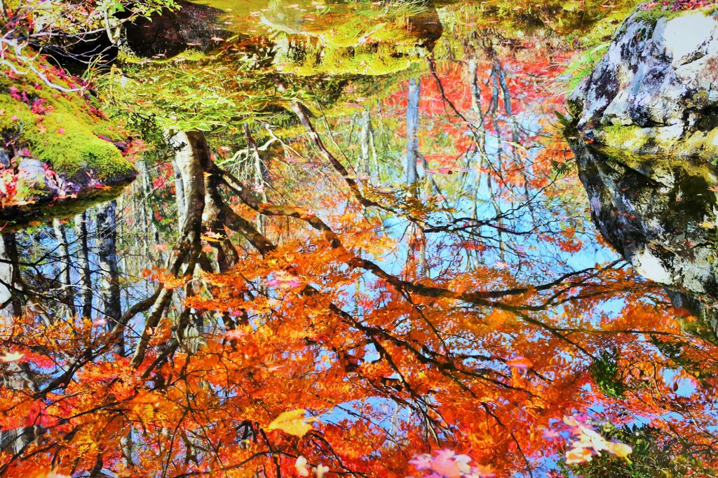 水面