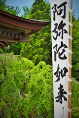 見たまんま
