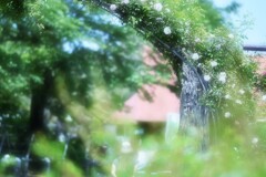 爽やかな日