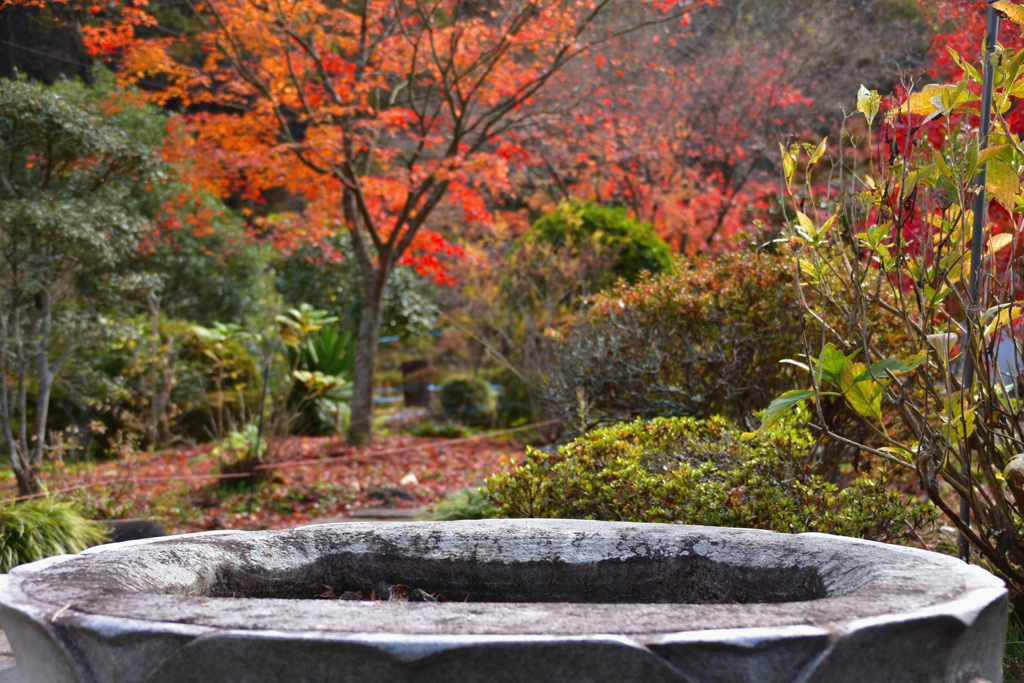 そこら辺の寺。