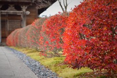 そこら辺の寺