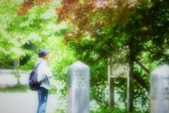 爽やかな日