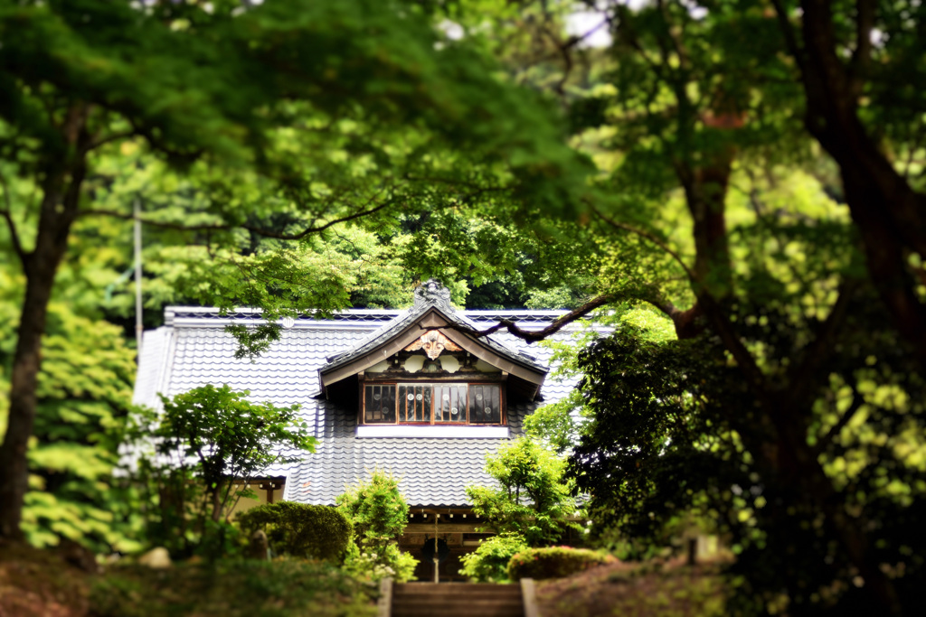 そこら辺の寺。
