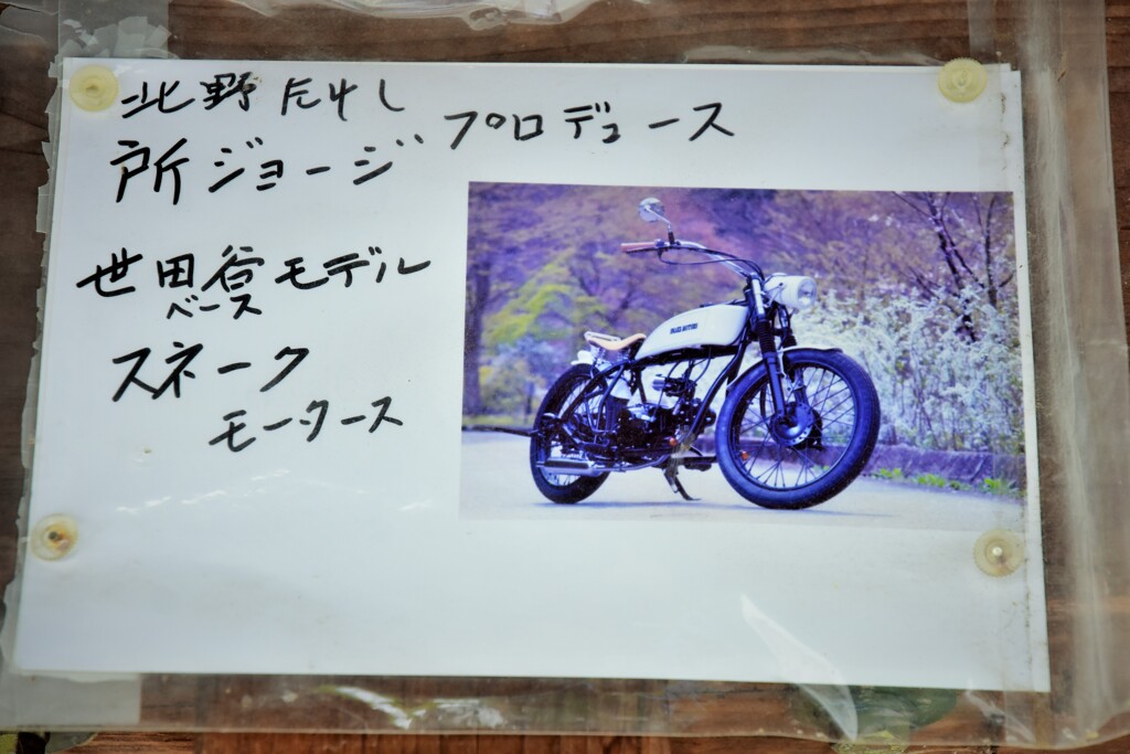 そうなんだって！