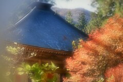陽ざし