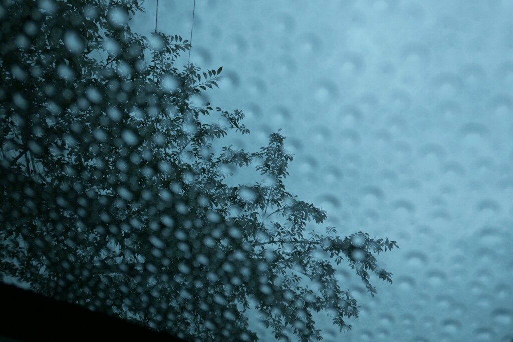 雨が空から降れば