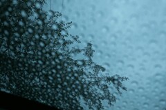 雨が空から降れば