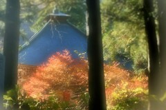そこら辺の寺