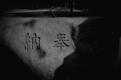 納奉