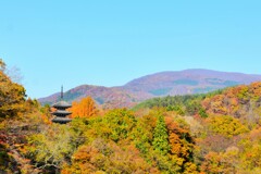 塔の見える風景
