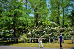 はやく行くわよ