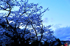 夕暮れ！