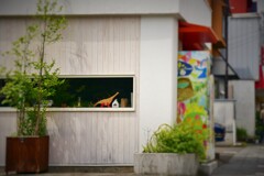 そこら辺の光景