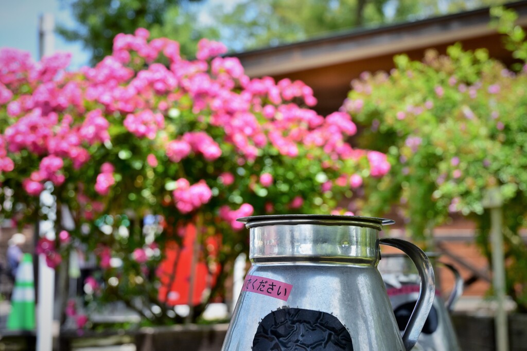 爽やかな日。。。