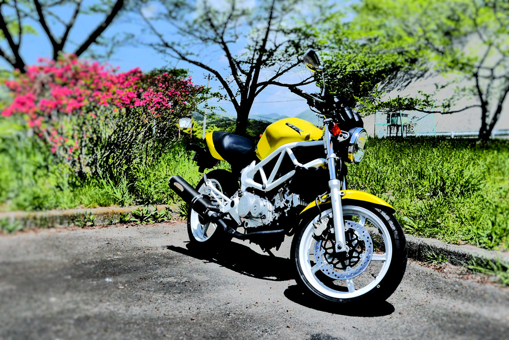 バイク女子に声をかけて撮らせてもらった