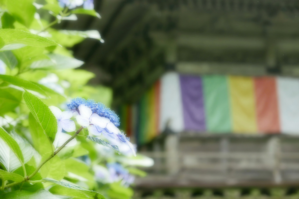 雨の晴れ間