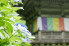 雨の晴れ間
