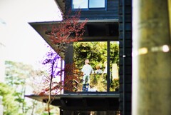 窓の光景