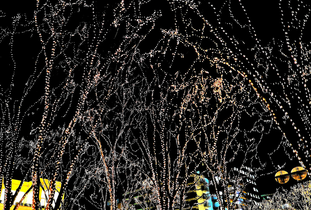 点・点・点・・