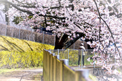 とても暖かいのにダウンを着ている女性