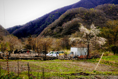 里の風景