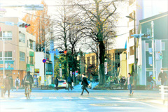 朝の光景
