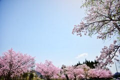天気の良い日