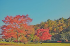 公園の風景