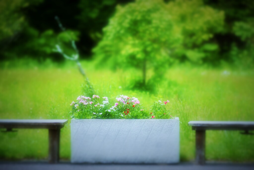 見たまんま