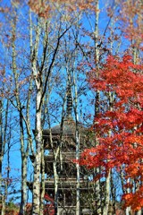 そこら辺の寺