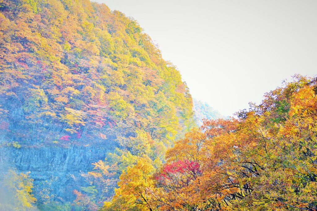 そこら辺の山