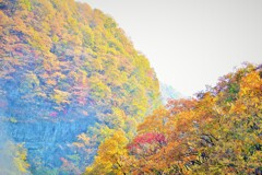 そこら辺の山