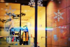 12月のウィンドー