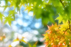 天気の良い日