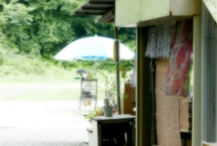 雨の晴れ間！
