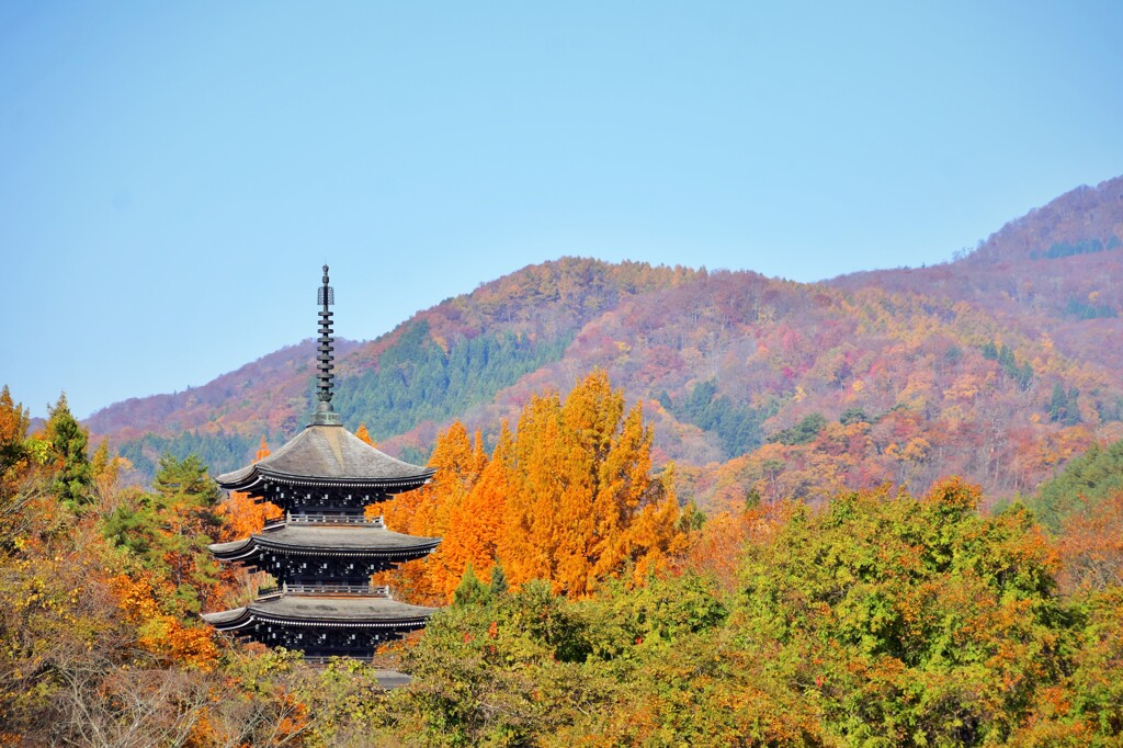 塔の見える風景