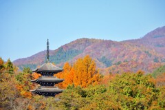 塔の見える風景