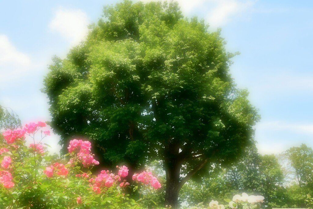 主役はどっち？