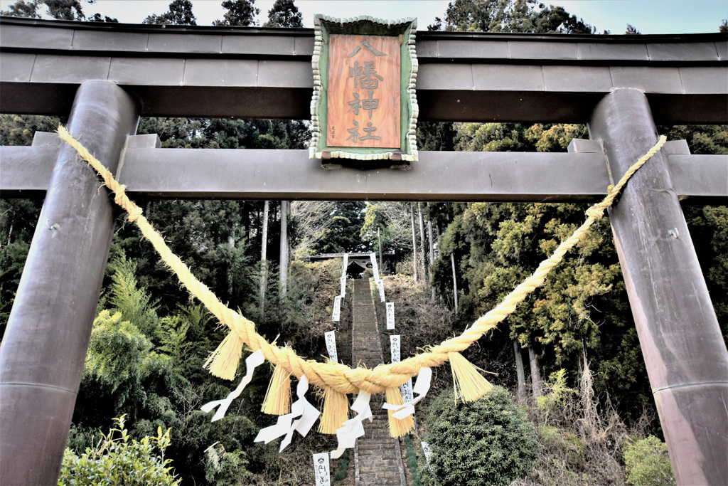仰ぎ見て・・・行こうか！