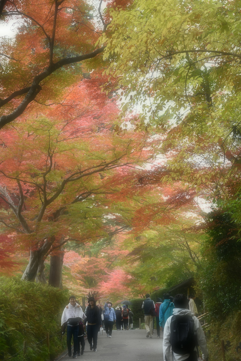 秋の風情！！！