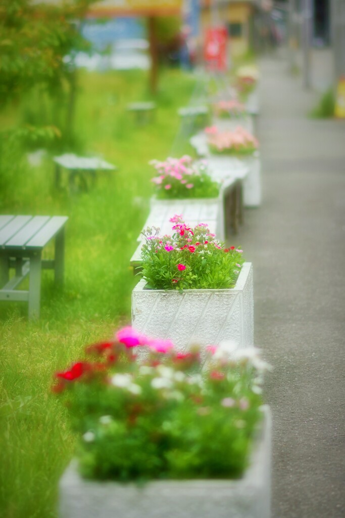 見たまんま