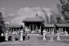 村の鎮守の・・・