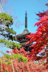 そこら辺の寺