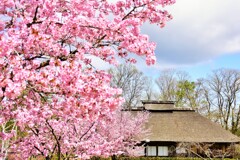 天気の良い日